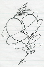 With The ARTiSt iN MiND